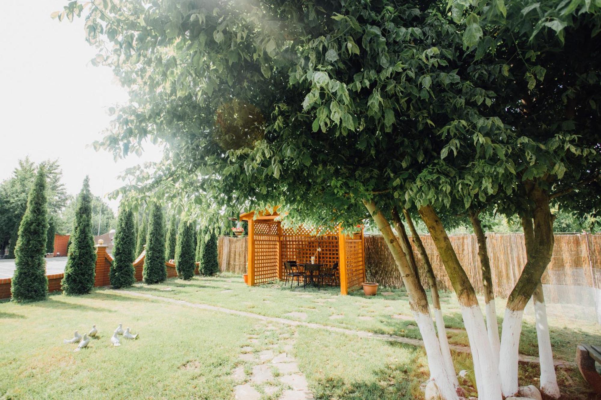 Villa Fenix Berehove (Transcarpathia) Exterior foto