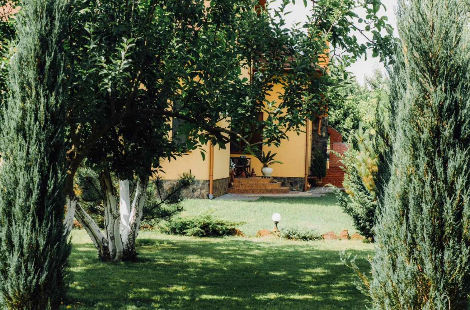 Villa Fenix Berehove (Transcarpathia) Exterior foto
